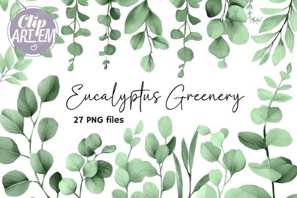 Download Eucalyptus Greenery ClipArt 27 PNG Sage - Green Collection